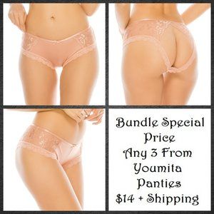 Youmita Lace and Microfiber Hipster Pantie